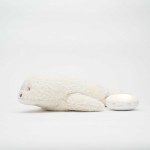 Moonie Organic - szumiąca foka z lampką - POLAR