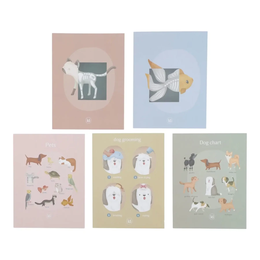 Gabinet weterynarza FSC / Little Dutch