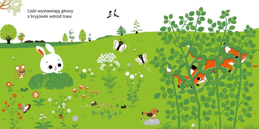 Łąka. Akademia Mądrego Dziecka. Niesamowity spacer / HarperCollins