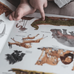 Wielka księga zwierząt. Ponad 150 gatunków / Wydawnictwo SAM