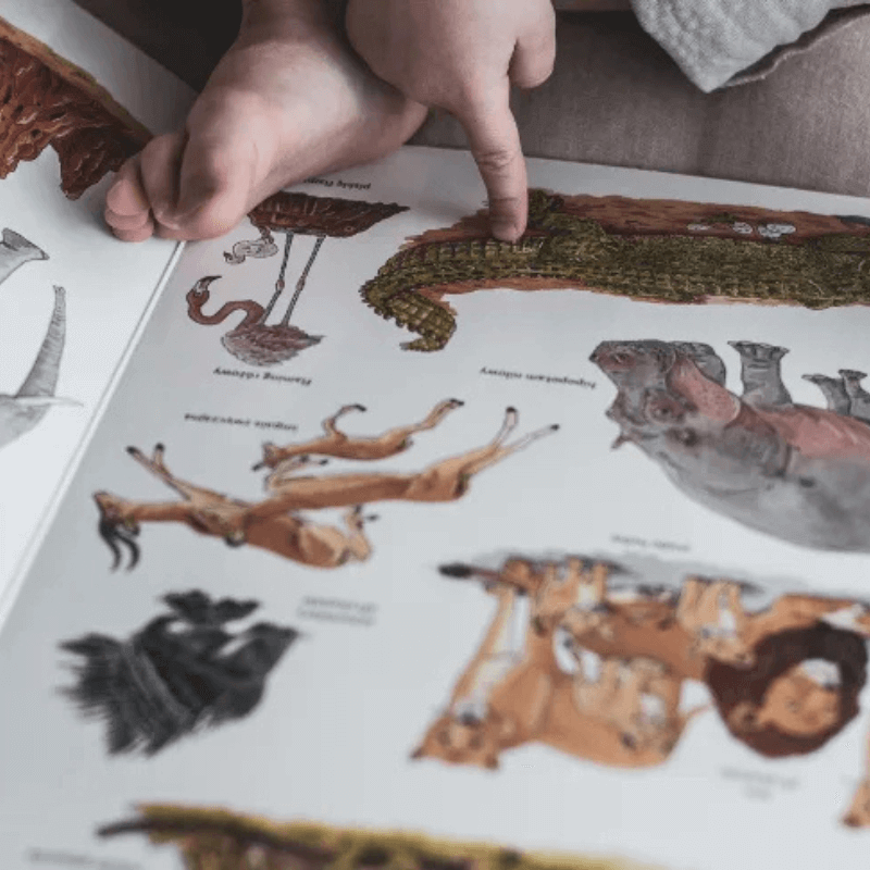 Wielka księga zwierząt. Ponad 150 gatunków / Wydawnictwo SAM