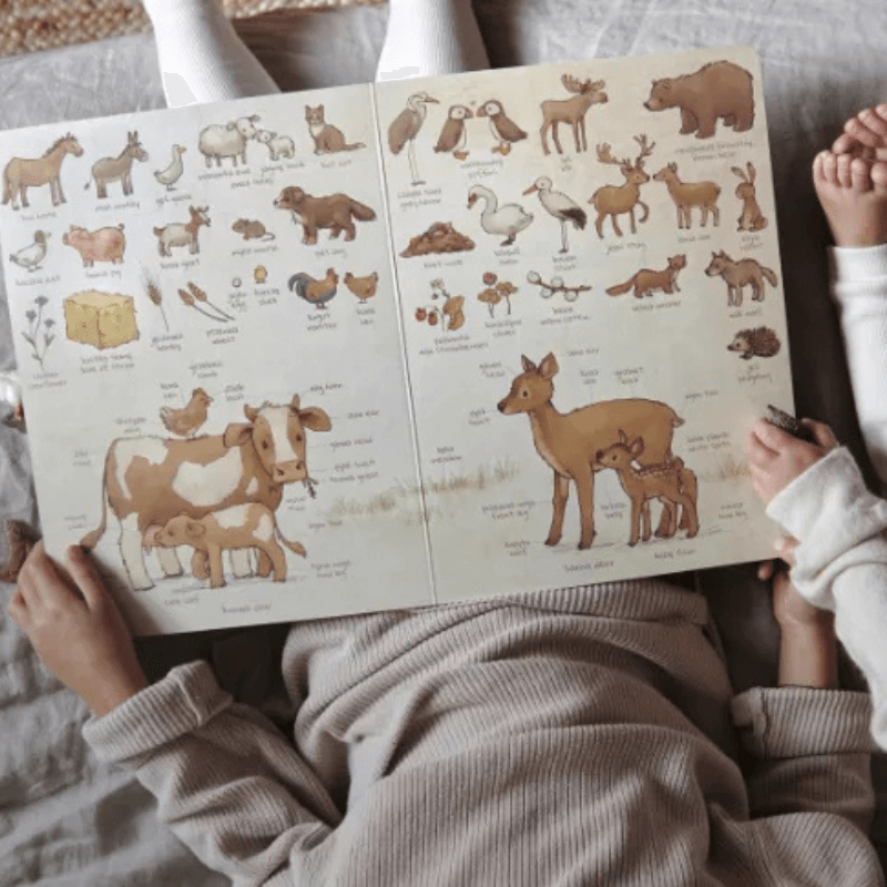 Słownik obrazkowy. Zwierzęta i rośliny / Wydawnictwo SAM