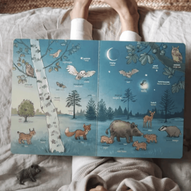 Słownik obrazkowy. Zwierzęta i rośliny / Wydawnictwo SAM