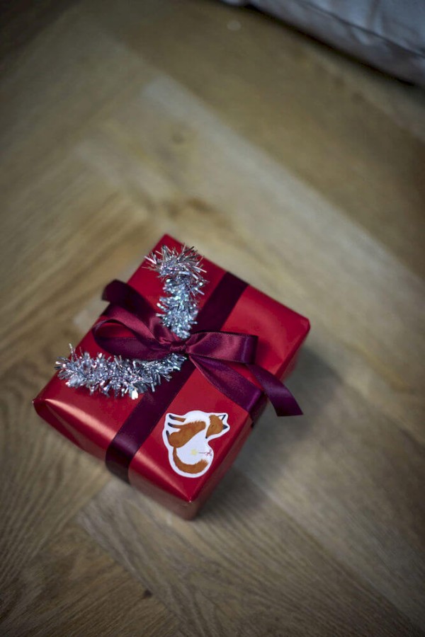 Naklejki Forest friends / Filibabba