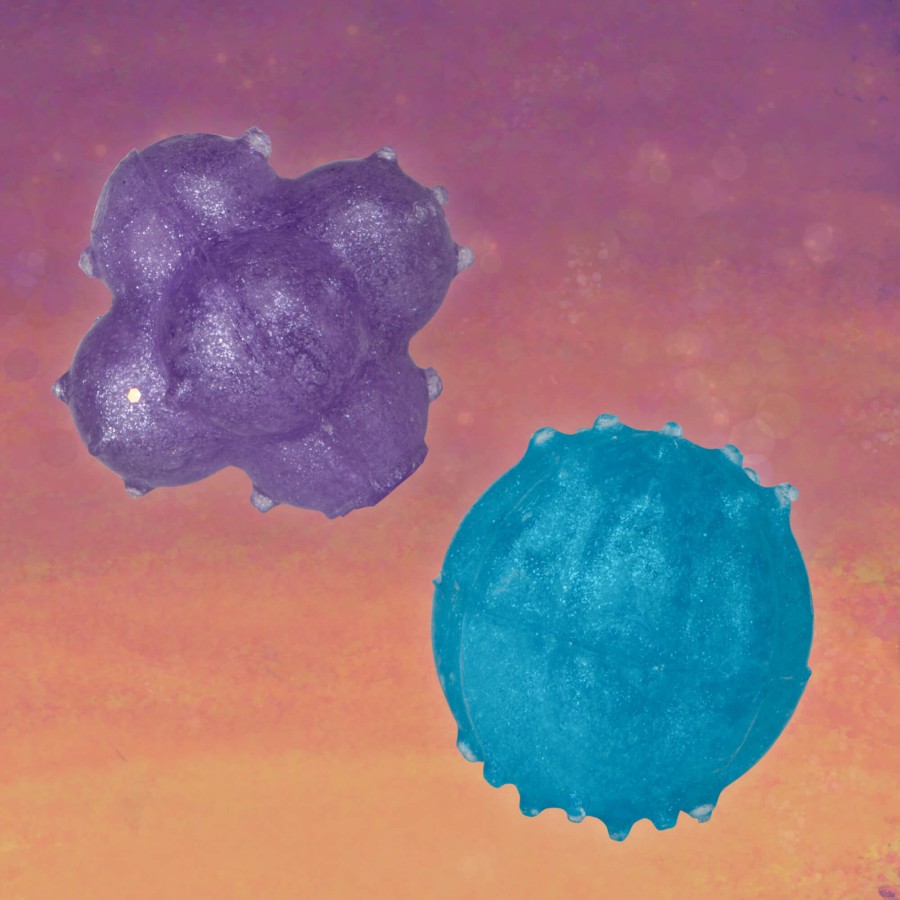 Zestaw Zrób To Sam - Galaktyczne Skoczki / Tiger Tribe