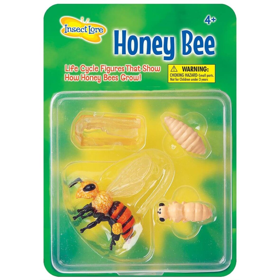 Zestaw figurek Cykl Życia Pszczoły / Insect Lore