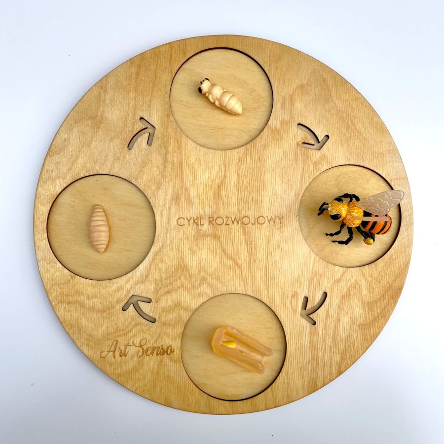 Zestaw figurek Cykl Życia Pszczoły / Insect Lore