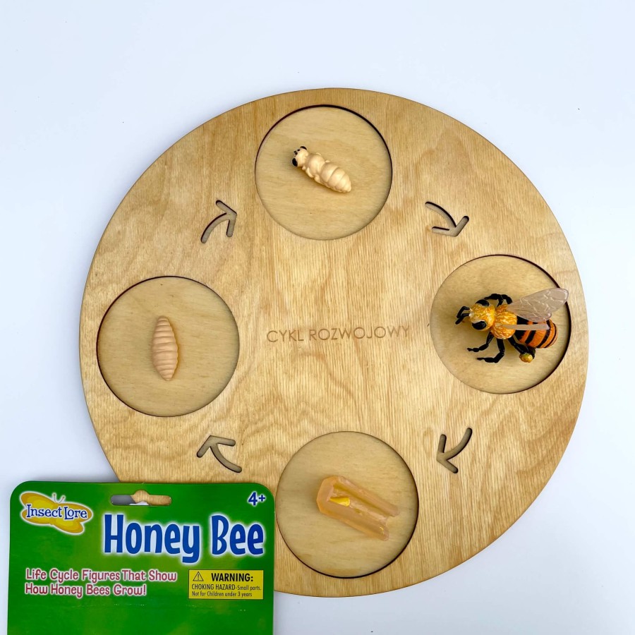 Zestaw figurek Cykl Życia Pszczoły / Insect Lore