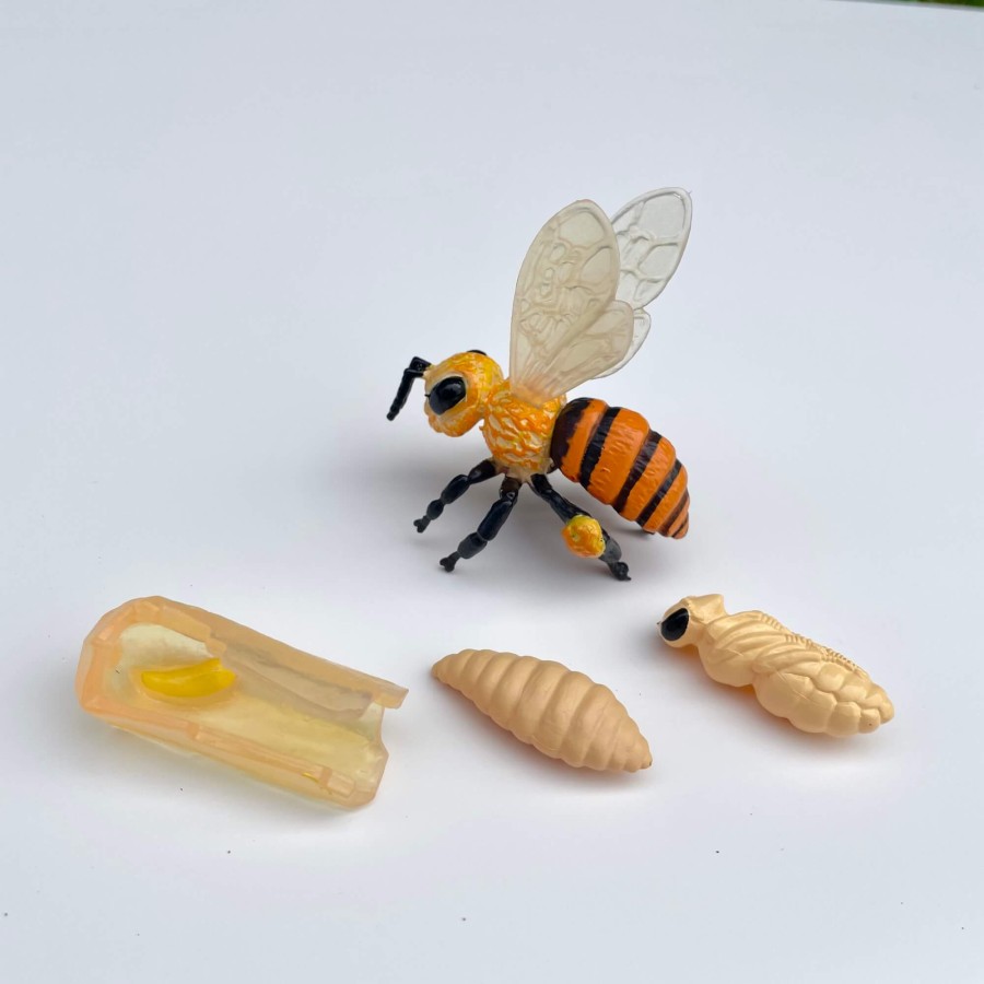 Zestaw figurek Cykl Życia Pszczoły / Insect Lore