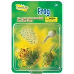 Zestaw figurek Cykl Życia Żaby / Insect Lore