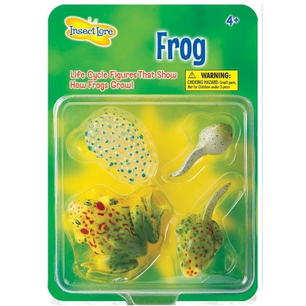 Zestaw figurek Cykl Życia Żaby / Insect Lore
