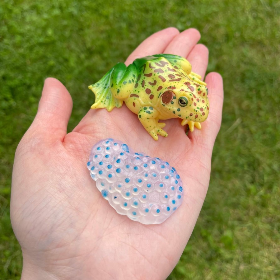 Zestaw figurek Cykl Życia Żaby / Insect Lore