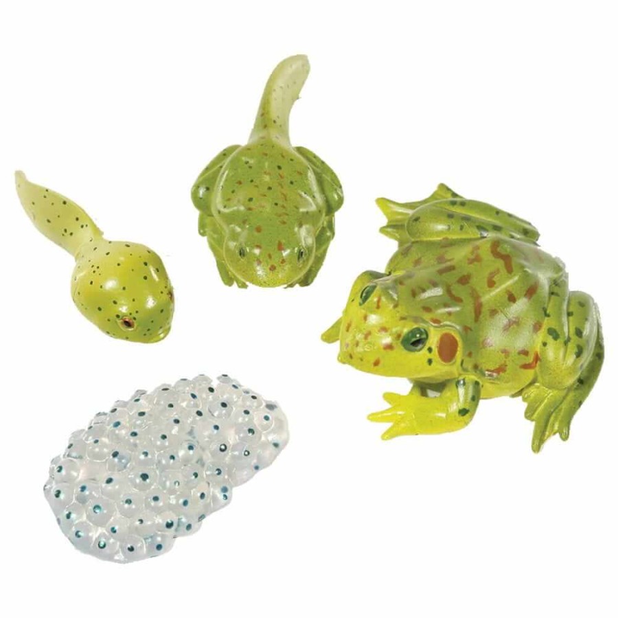 Zestaw figurek Cykl Życia Żaby / Insect Lore