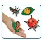 Zestaw figurek Cykl Życia Biedronki / Insect Lore