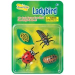 Zestaw figurek Cykl Życia Biedronki / Insect Lore
