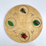 Zestaw figurek Cykl Życia Biedronki / Insect Lore