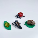 Zestaw figurek Cykl Życia Biedronki / Insect Lore