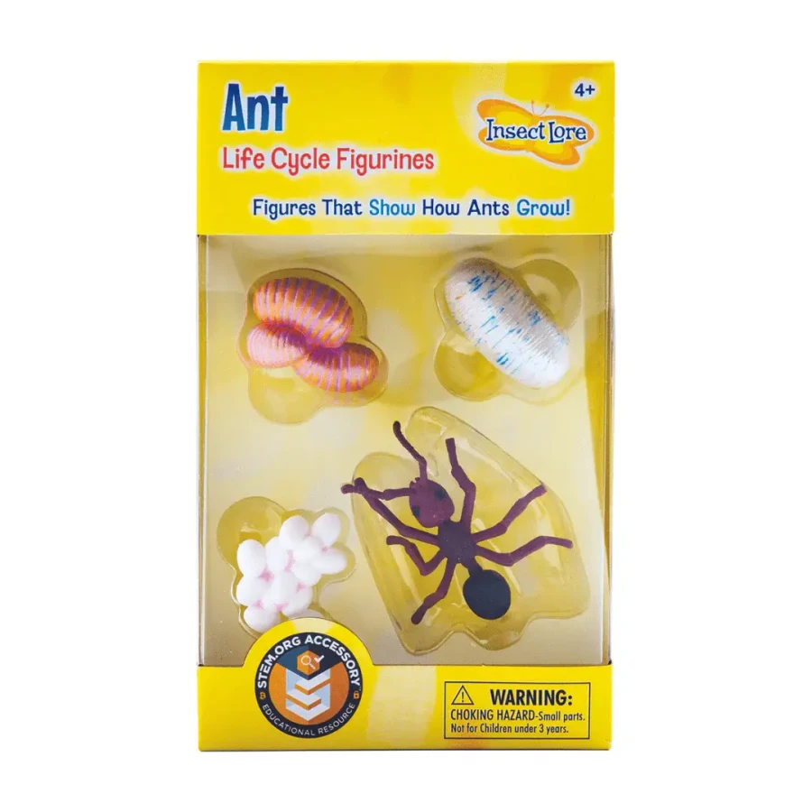 Zestaw figurek Cykl Życia Mrówki / Insect Lore