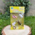 Zestaw figurek Cykl Życia Mrówki / Insect Lore