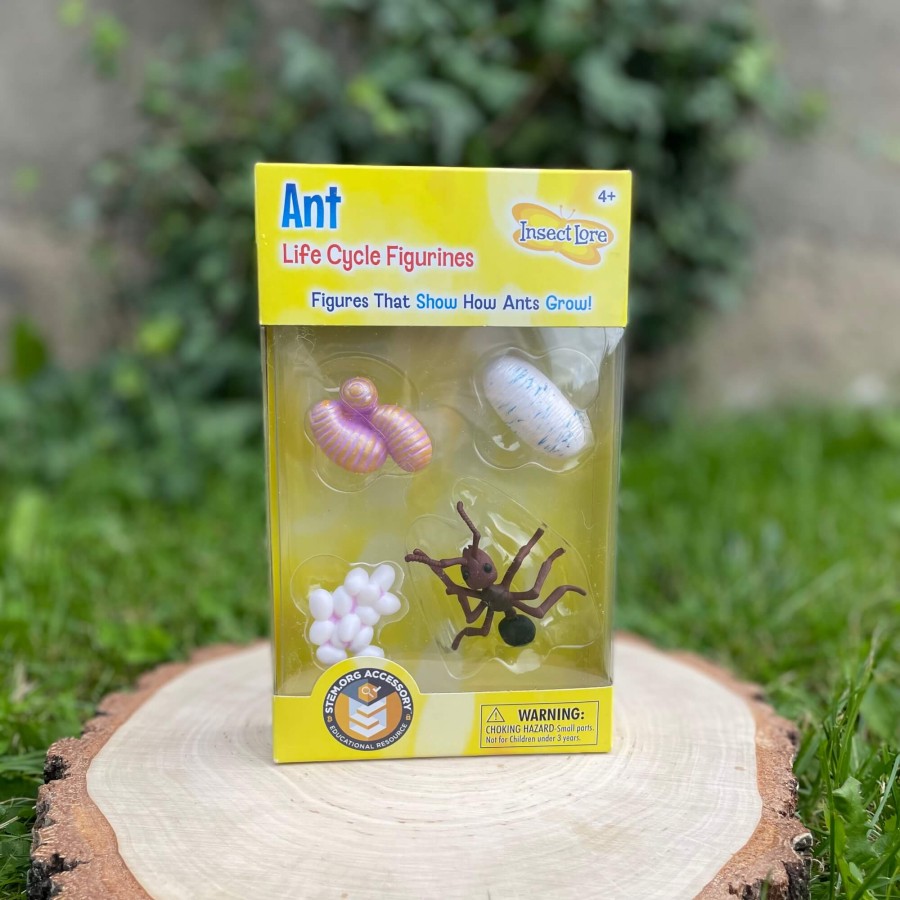 Zestaw figurek Cykl Życia Mrówki / Insect Lore