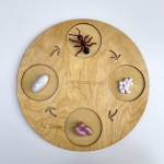 Zestaw figurek Cykl Życia Mrówki / Insect Lore