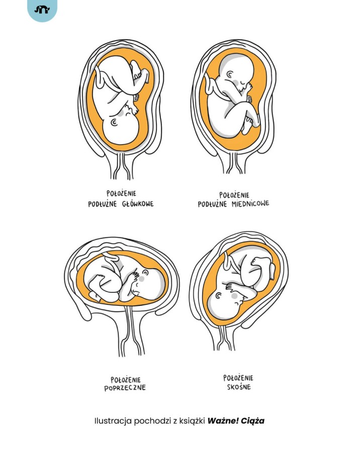 Ważne! Ciąża / Wydawnictwo Natuli