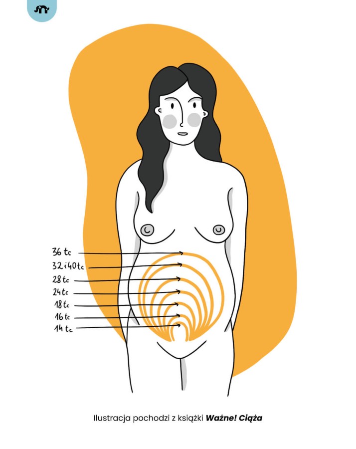 Ważne! Ciąża / Wydawnictwo Natuli