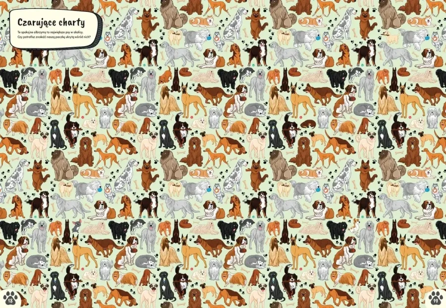 Gdzie jest pies? Wyszukiwanka / Wilga