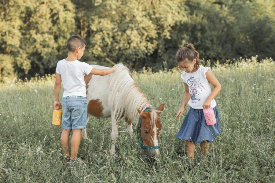 Termos obiadowy dla dzieci 350ml - Lew / SASSI