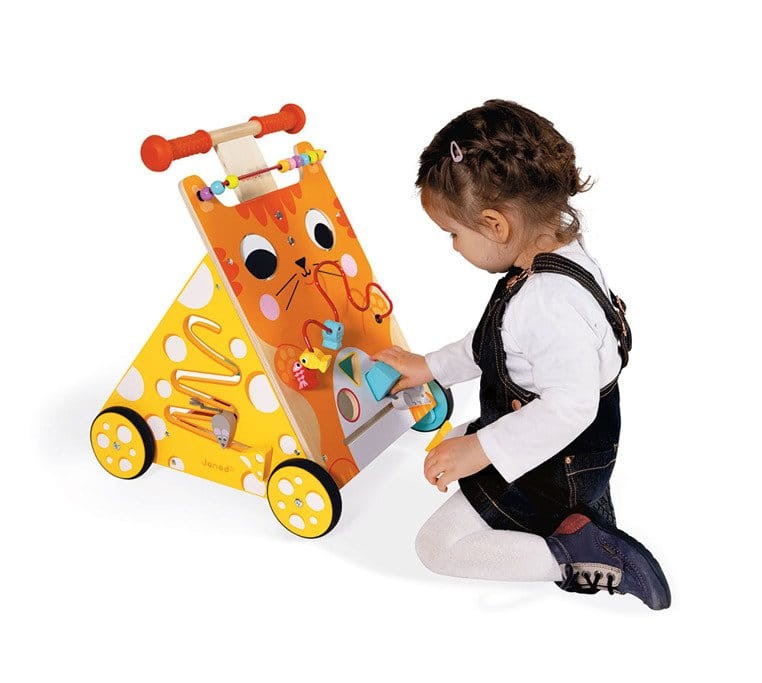 Wielofunkcyjny pchacz edukacyjny Kot / Janod