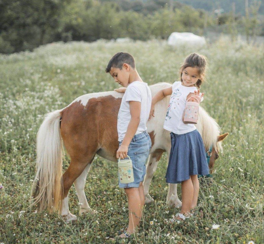 Termos obiadowy dla dzieci 350ml - Dinozaur / SASSI