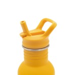 Butelka na wodę bidon 500 ml - Lew / SASSI