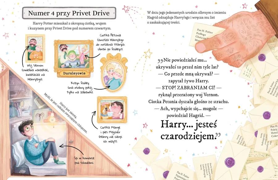 Mały potterownik. Harry Potter. Przewodnik po serii Harry Potter. / Media Rodzina