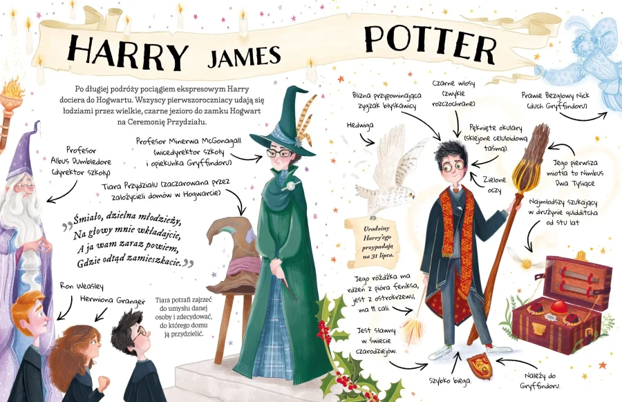 Mały potterownik. Harry Potter. Przewodnik po serii Harry Potter. / Media Rodzina