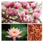 WARM UP FOR FUN - pianka do kąpieli, 60g / Dresdner Essenz