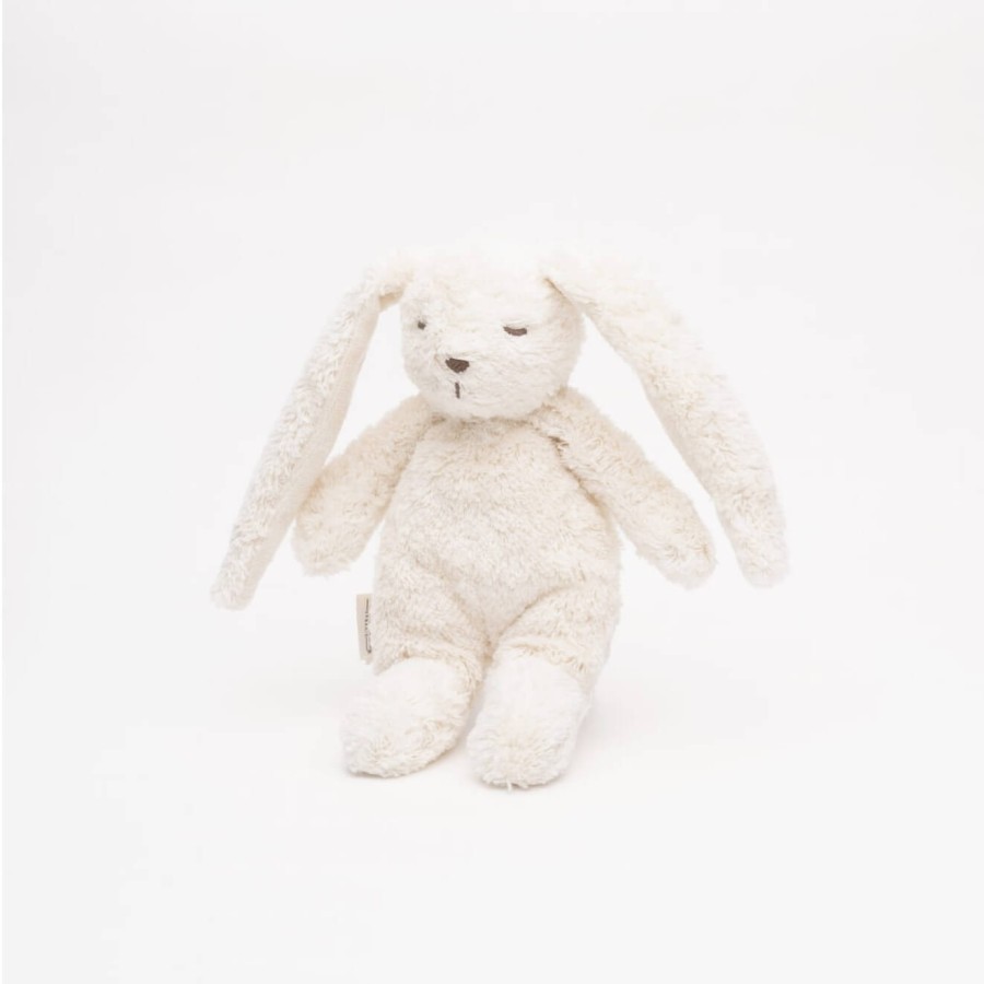 Królik sensoryczny - polar / Moonie