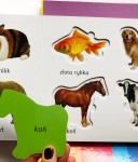 Zwierzęta. Akademia mądrego dziecka. Kolorowy świat malucha / HarperCollins