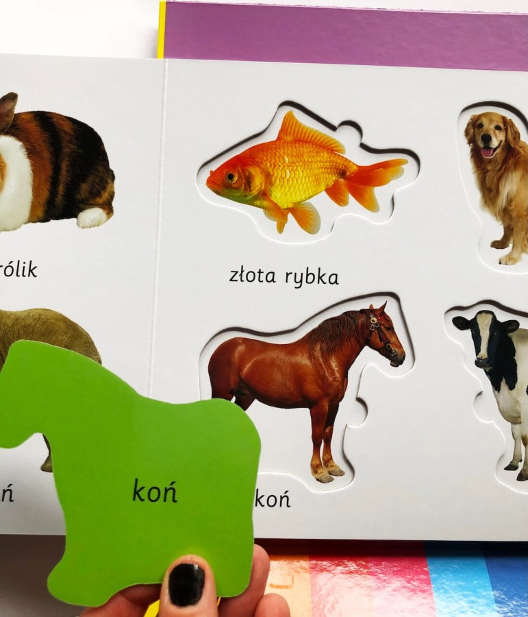 Zwierzęta. Akademia mądrego dziecka. Kolorowy świat malucha / HarperCollins