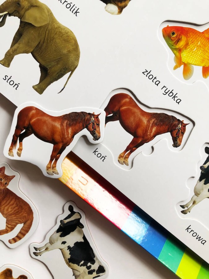 Zwierzęta. Akademia mądrego dziecka. Kolorowy świat malucha / HarperCollins