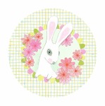 Szkatułka z pozytywką SWEET RABBIT / Djeco