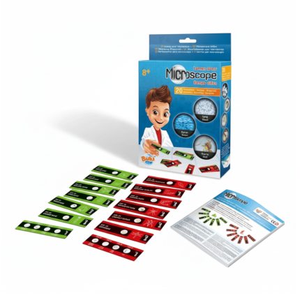 Slajdy próbek mikroskopowych / Buki