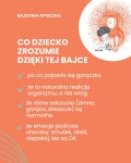 Bajka na Gorączkę. Ciepła opowieść o tym, dlaczego czasem przychodzi Gorączka / Pan Tabletka