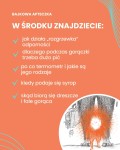 Bajka na Gorączkę. Ciepła opowieść o tym, dlaczego czasem przychodzi Gorączka / Pan Tabletka