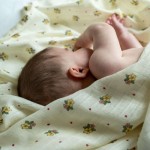 Otulacz muślinowy Jana - Sweetheart Petals / That's Mine