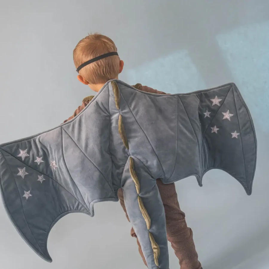 Skrzydła i maska smoka Wilmer - Citadel / That's mine