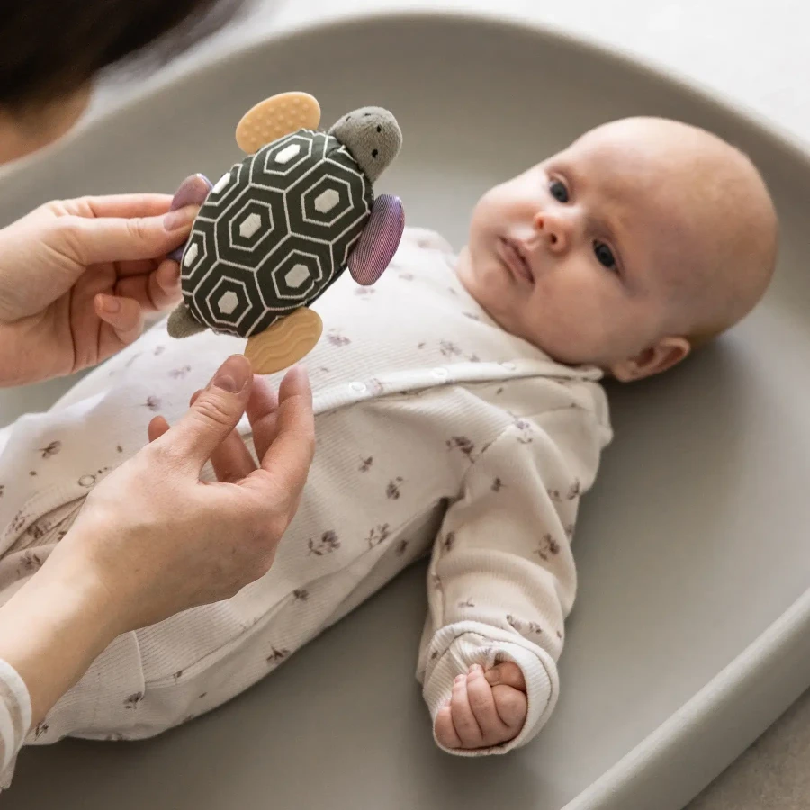 Grzechotka z lusterkiem - Turbo the turtle / Sebra