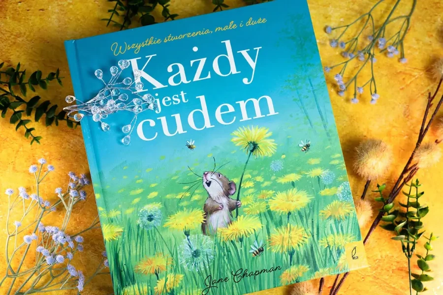 Każdy jest cudem / Wilga