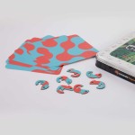 Łamigłówka magnetyczna - Kameleony / Fat Brain Toys