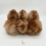 Maskotka Alpaka - Smores / Inkari