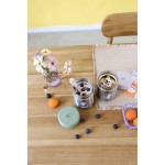 Pojemnik - termos obiadowy 315 ml Tiny Team Kotek / Lassig